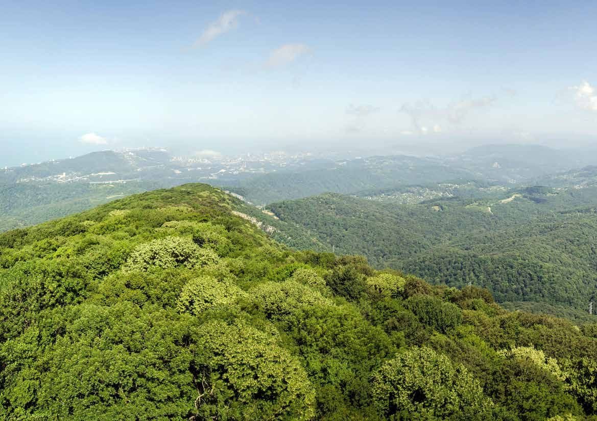 Green Sahyadri hills around Hadshi