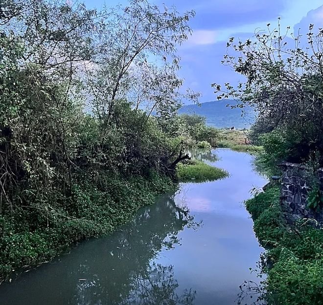 Evening by the water, actual site photo