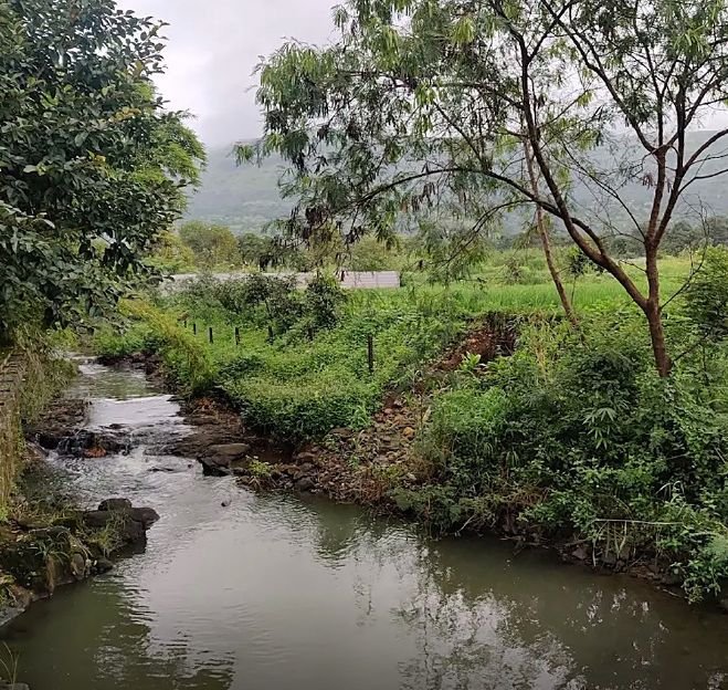 The stream in full flow, actual site photo